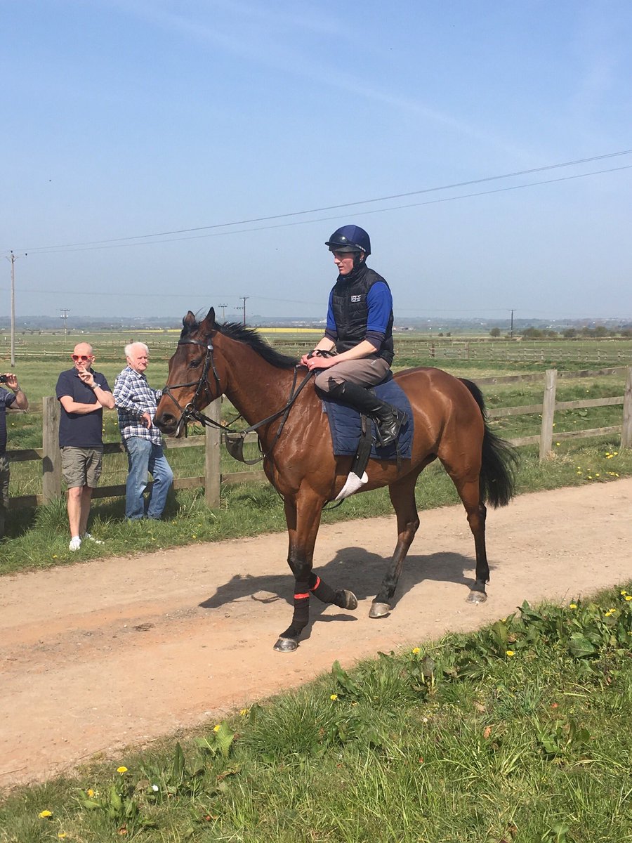 MountRacingNews's tweet photo. Few from this morning where our Owners enjoyed another great visit to @RebeccaEMenzies yard to see Champagne To Go who looked in great shape with @nathanmoscrop on board 
#LoveRacing 🏇🏼🏇🏼🏇🏼 https://t.co/6NhA72Sd1d