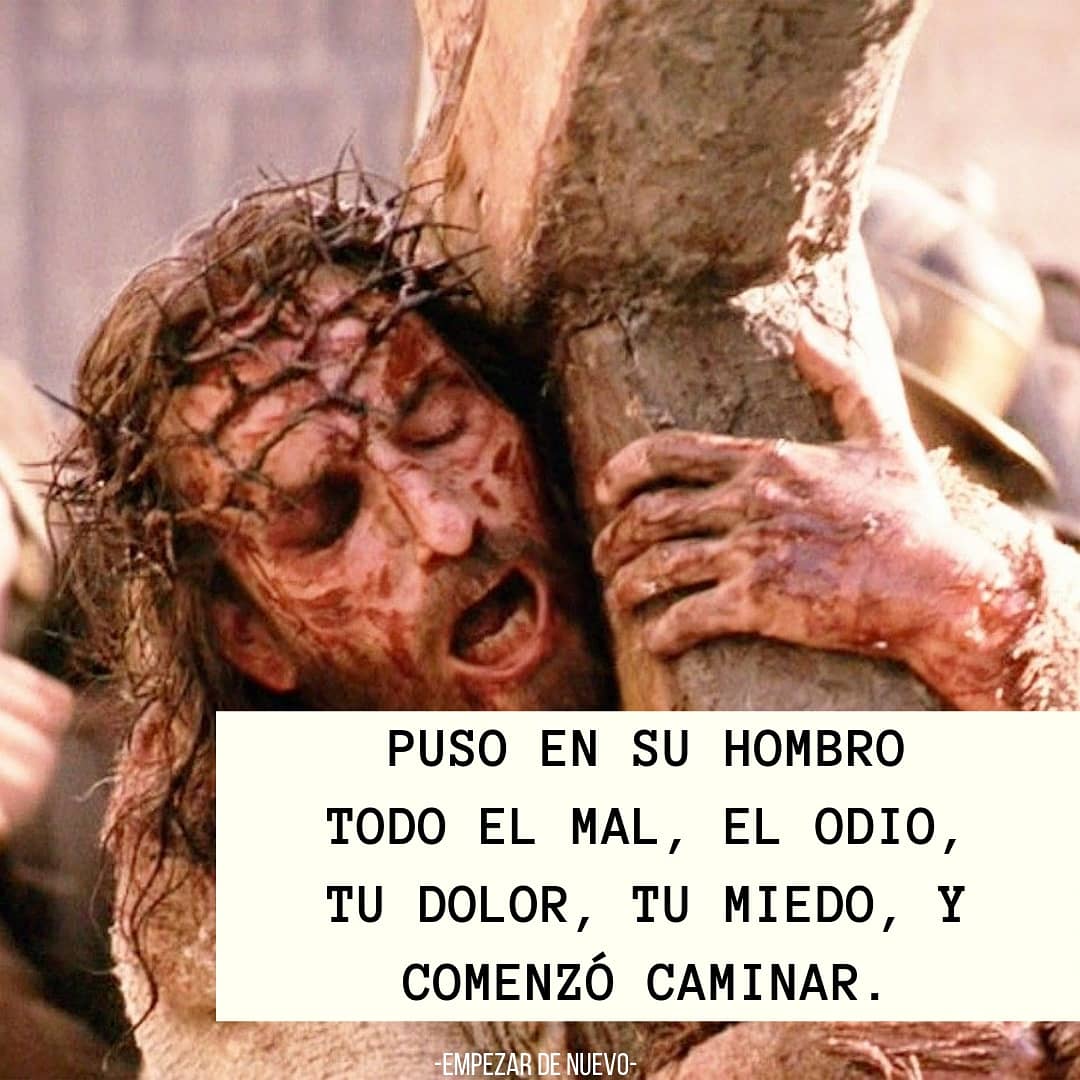 EmpezardeNuevo8's tweet image. 🙌🙌🙌
Rayo de Mar - @kyosko @evancraft 

#buenosdias #amor #love #hombro #Cruz #pascua #resusito #Elvive #empezardenuevo