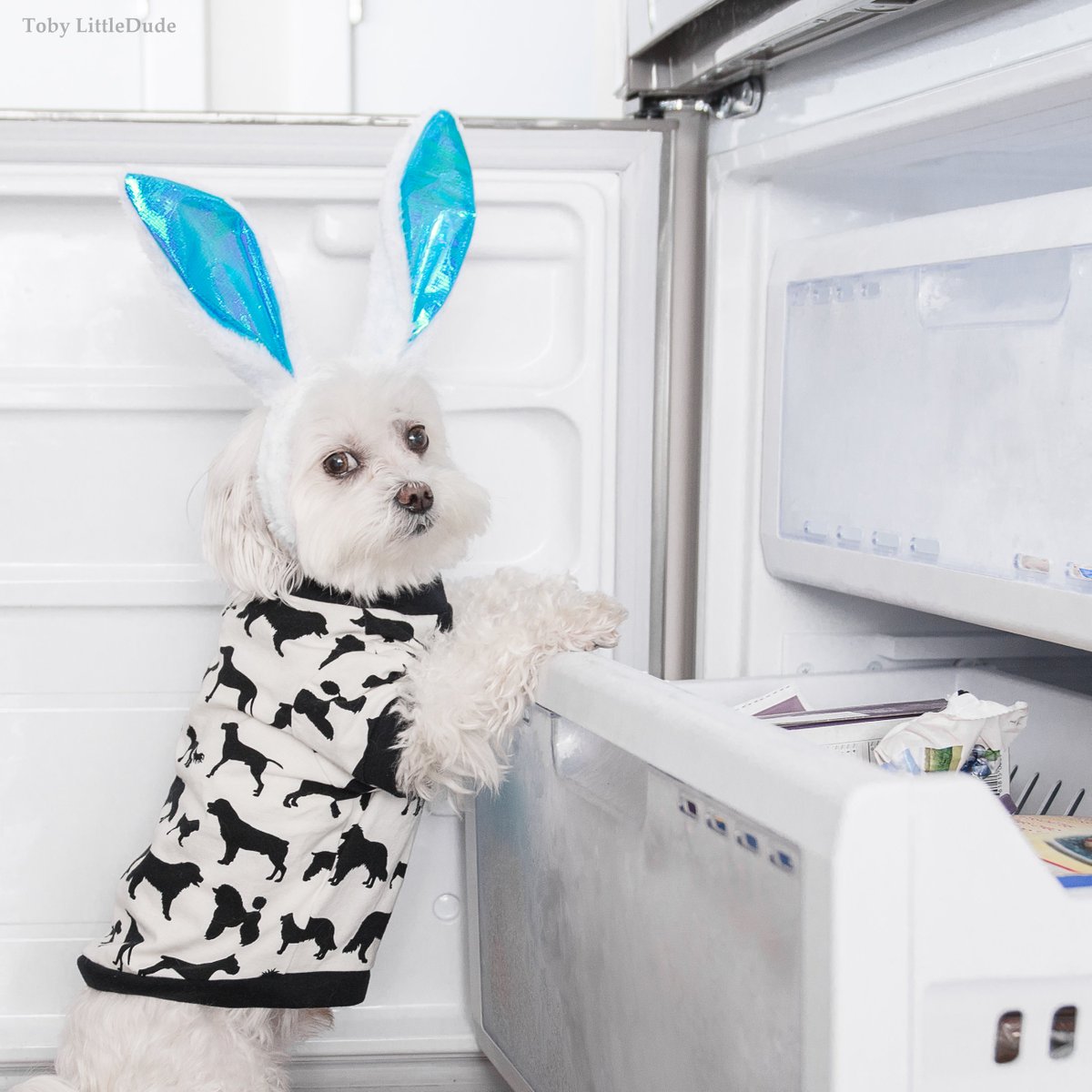 Wishing everybunny a Happy Easter 🐰🐣