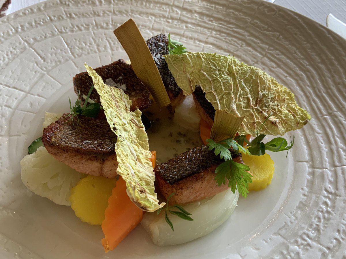 Andrea Radic tweet media