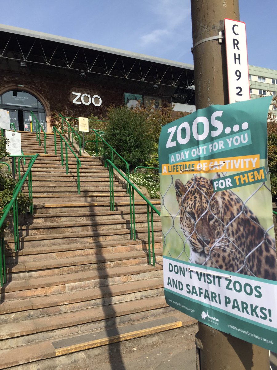 Great protest today at Edinburgh zoo - good to engage with visitors on why they should rethink their visit. Thanks to all the locals for the horn-honks, thumbs up & shouts of encouragement! Really effective campaign materials from @freeanimalsuk #ZooAwarenessWeekend #Edinburgh