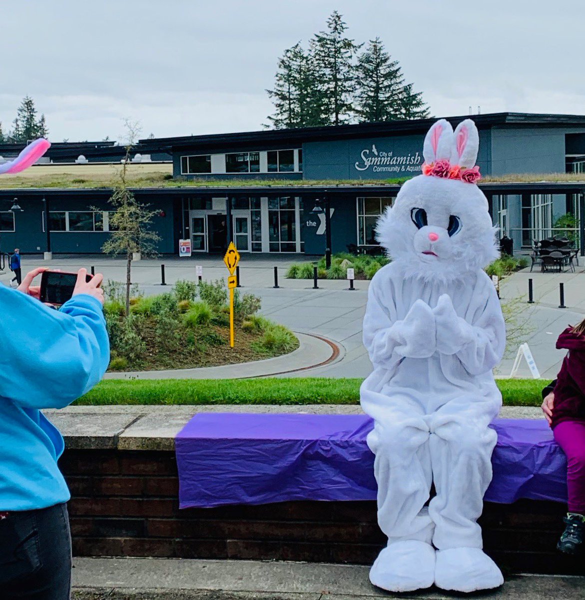 Easter bunny taking a well-deserved break post big Sammamish City Hall egg hunt!