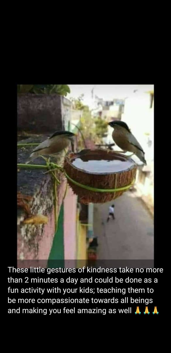 vasavi kishore (@vasavikishore) on Twitter photo 