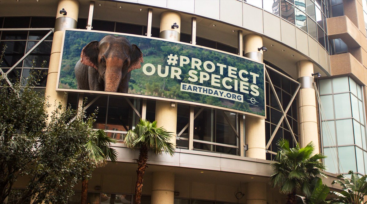 EarthDay's tweet photo. Our Protect Our Species billboards and signs have been spotted all over the United States! Have you seen them? Snap a pic and share with hashtag #ProtectOurSpecies -- you could win a limited-edition Kastlfel t-shirt! 

Learn more: https://t.co/euzvKvYeqX #EarthDay https://t.co/UzCm6YrMc5