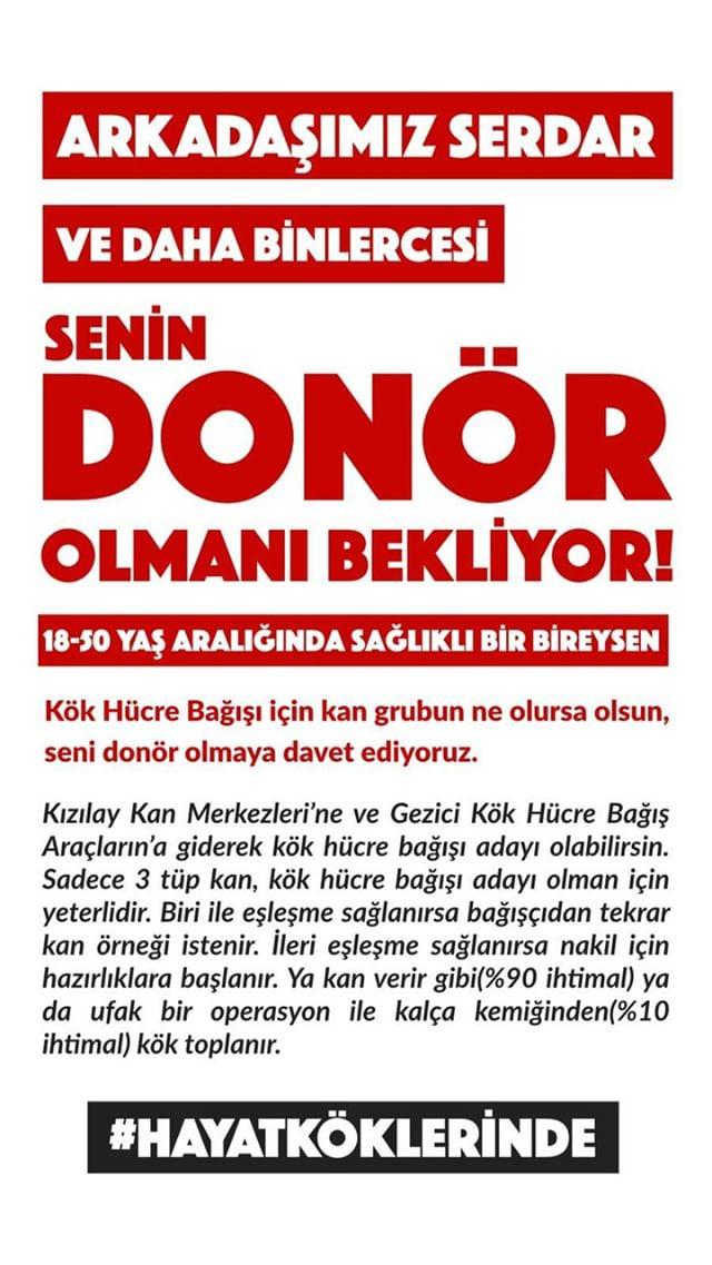 hayatkoklerinde's tweet photo. #halukleventsahnedehayatkoklerinde https://t.co/MAd9nhtDIP