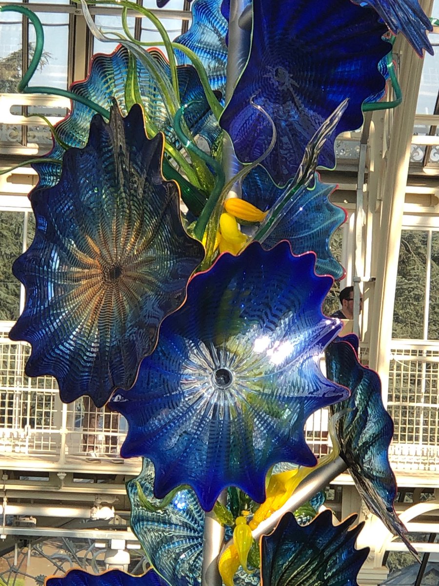 rmayger's tweet photo. Amazing exhibition at Kew Gardens #Chihuly! https://t.co/ezcq3CMuqS