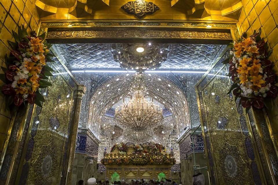 mujtabaff's tweet photo. 15th Shaban al-Muazam, celebrations of birth anniversary of Imam al Mahdi (a) in holy Karbala #ArrivalOfLastSaviourMEHDI #Karbala #Mahdi https://t.co/KLVSwjuu8k