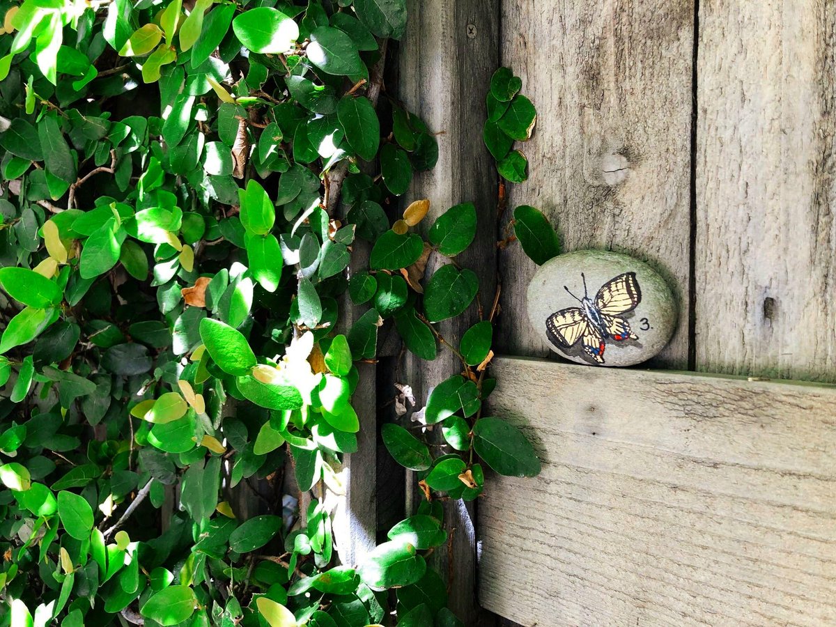 SpanishGarden's tweet photo. Oh hey there friend! 😉🦋 Something fun is coming soon! Stay tuned.
• 
•
#SGIMariposa #butterflyrelease #scavengerhunt #winelife #instastory #spanishstyle #santabarbarastyle #spanishgardeninn #downtownsb #santabarbarahotel #visitsantabarbara #itsbeingbroughton https://t.co/l5P6Z0dEZ2