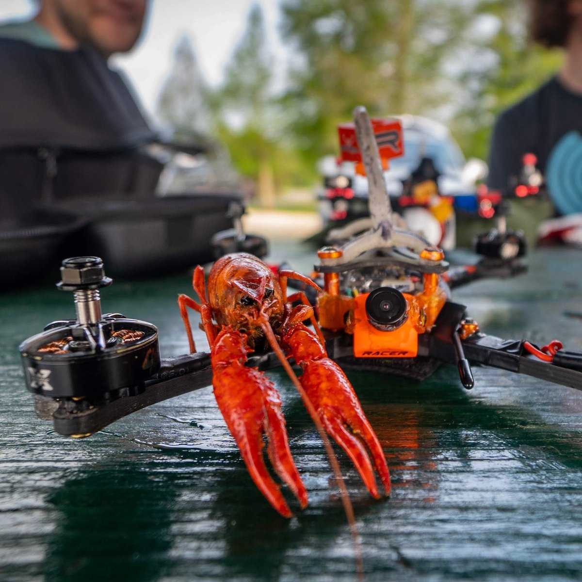 nurkfpv's tweet photo. @arresteddev did always warn me about #hopons #fpv #fpvracing #fpvracer #drone #drones #droneracing #droneracer #droneracingleague #aerialphotography #fpvdrones #fpvrace #miniquadclub #multirotor #quadcopter #hobbywing #goodventuredrones #CNHL #chinahobbyline https://t.co/Je3C5PET3s