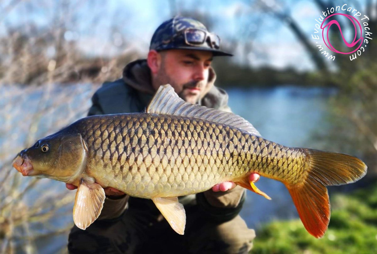 EvoCarpTackle's tweet photo. A days social for team consultant Tom Milson with a good friend, resulted in two bites on a tough days fishing. Both fish come around the same time, with 2 small commons both landed in his NSR. 

https://t.co/pJQKNvDNOj #Evolve® #ArtificialBaits #NSR® #LastElementsRange https://t.co/zGmcWUc2Tf