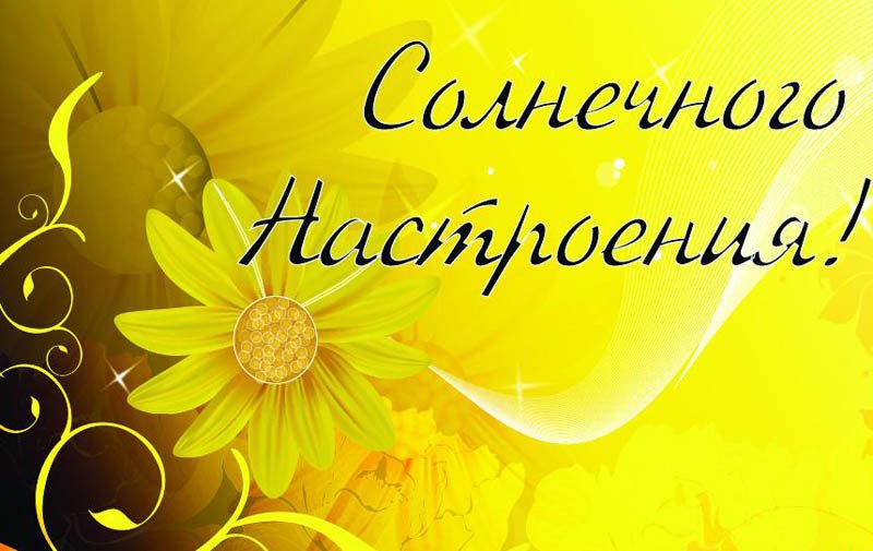 Животными, открытки с надписями пожеланием