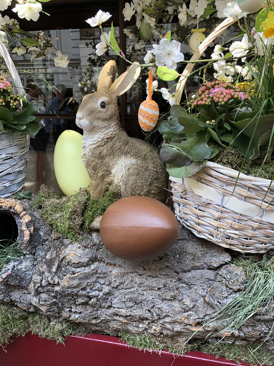 FergusonWhyte's tweet image. Happy Easter!