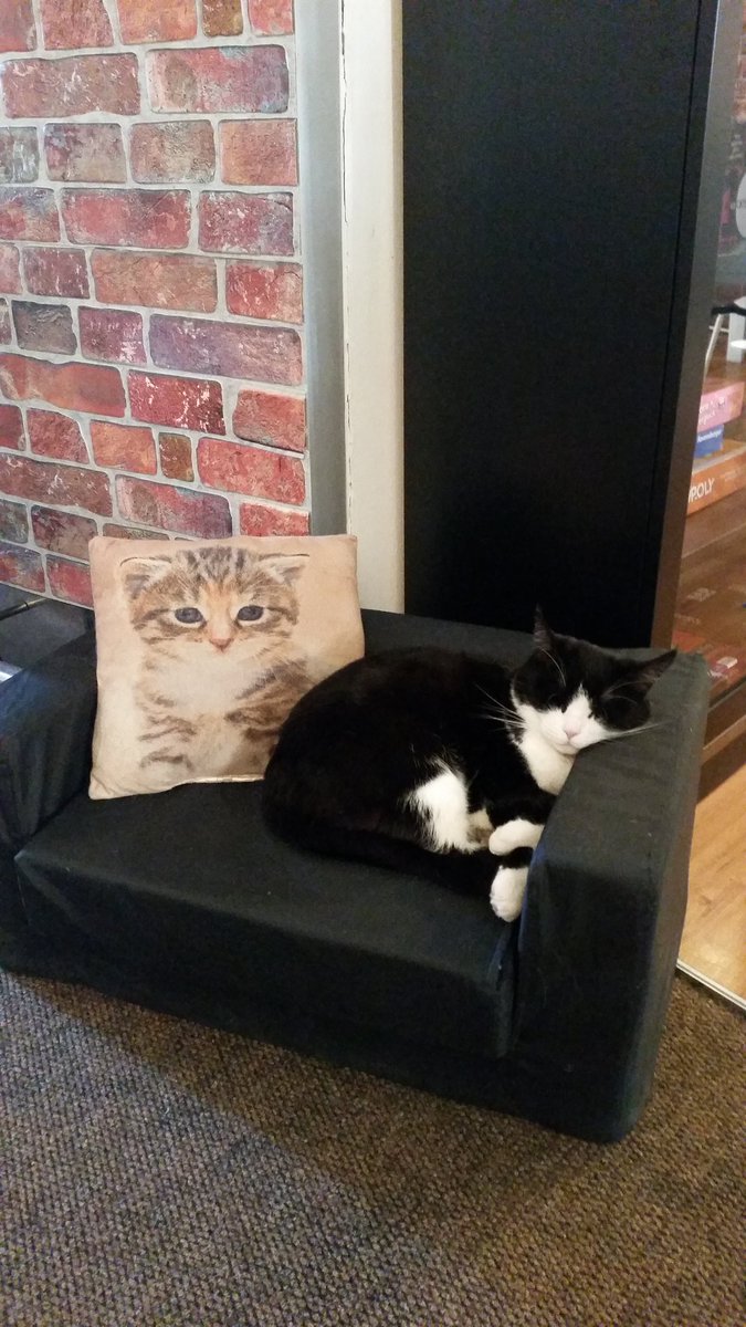 mh250962's tweet photo. #Catcaffe https://t.co/ap2ijyOfMF