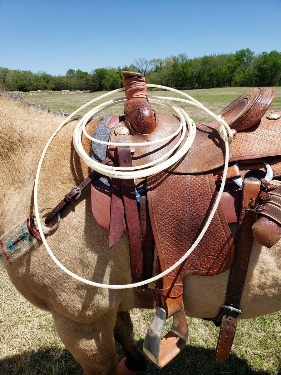 wesselranch's tweet photo. I like white ropes when it's hot outside #currentlyunaffiliated #sponsors #teamroping #ropes #jackpot #whiplashranch #Oklahoma https://t.co/EY7qWuwjvC