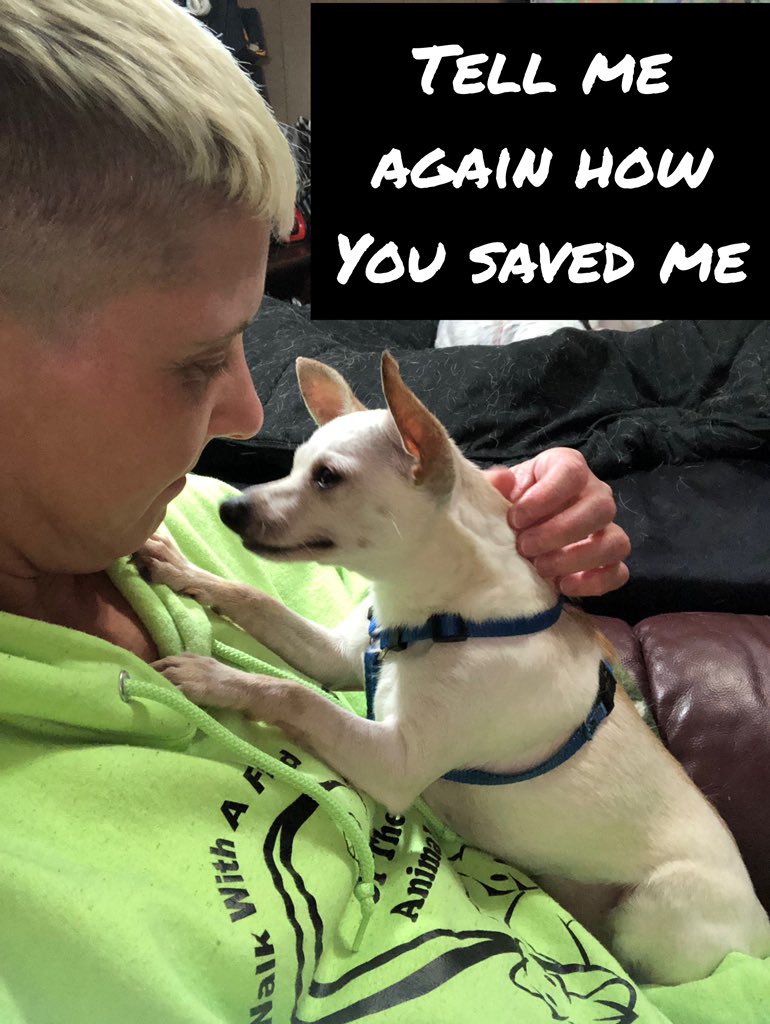 Kewanee4Animals's tweet image. #CheechStrong