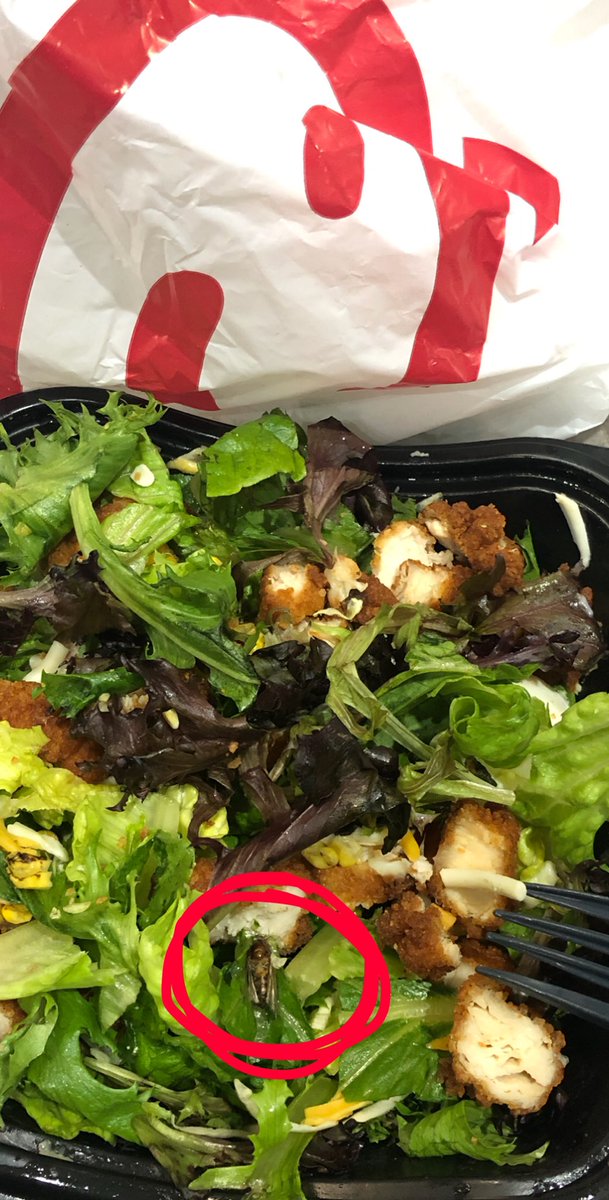 kap_rice's tweet photo. MOEEE!!!! CHICK FIL A THE RESTAURANT ALL OF YALL LOVE!!! HAD A FUCKING MOTH, BEE OR WHATEVER CREATURE THIS IS IN MY SALAD!!! THIS AINT RIGHT CHICK FIL A!!!! SMH 🤦🏾‍♀️ #ChickfilA #buginmysalad  @ChickfilA  #buginmyfood https://t.co/vOiNB7QwnB