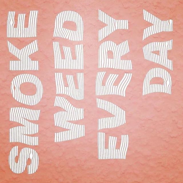 Our favorite day of the year 🌴 Happy 4/20 y’all 📷: <a href="/savinamonet/">Savina Monet</a> @moms_stash #VALLEYHIGHLIFE bit.ly/2VVM7od