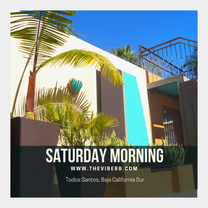 thevibebb's tweet photo. Happy Easter everyone 🐇
Sunny morning at Todos Santos. Visit us and feel The Vibe!
https://t.co/z3OW6S7czP
.
.
.
#thevibe #todossantos #easter #sunny #saturday https://t.co/cSSmFAV0LW