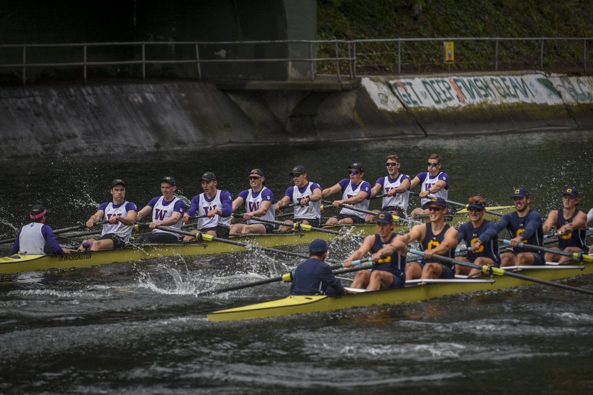UWDailySports's tweet photo. A @UW_Rowing sweep at the #CalDual. Check out some of the best from the @DailyPhotoDesk during this morning's action. https://t.co/VOzsoVj3sd