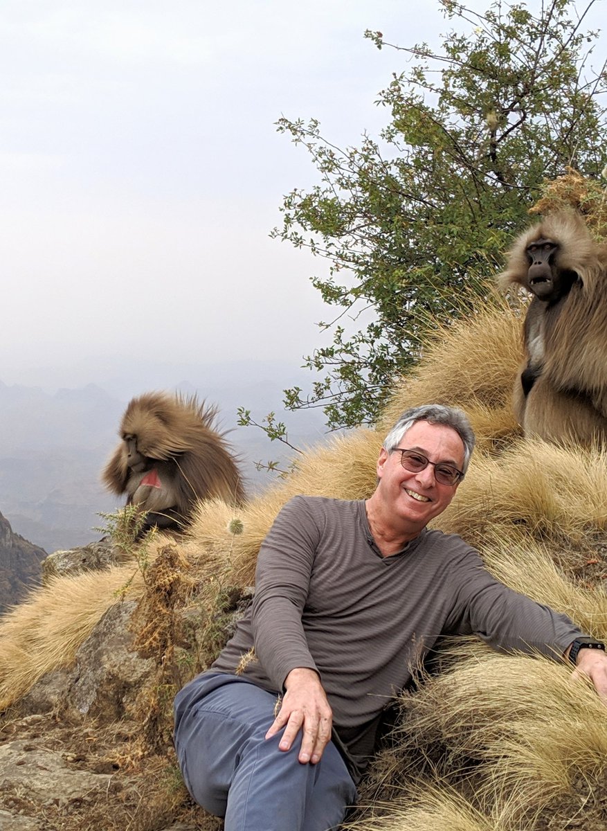 garysegal's tweet photo. @IsraelMFA @mfaethiopia @IsraelinET @MoravRaphael @RaphaelAhren @EmmanuelNahshon @MoavVardi @PMEthiopia @OrDaniely @simonarann @NadavEyalDesk So happy to hear this good news. I was in this special Park just 2 days before the fires started, enjoying the amazing Gelada monkeys. https://t.co/luE7Ri5JPn