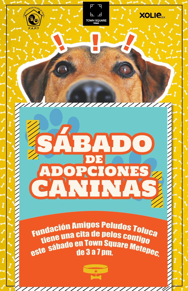 xoliemx's tweet image. ¡Súmate a la jornada de adopción! 🐶@AmigosToluca 20 y 27 de abril de 3 a 7 pm #TownSquare #Metepec
🐾 Todos los peludos han sido rescatados de situación de calle, abandono o maltrato 📢 Difusión también es acción 🌟
m.facebook.com/fundacionamigo…
#FundacionAmigosPeludosToluca 💛