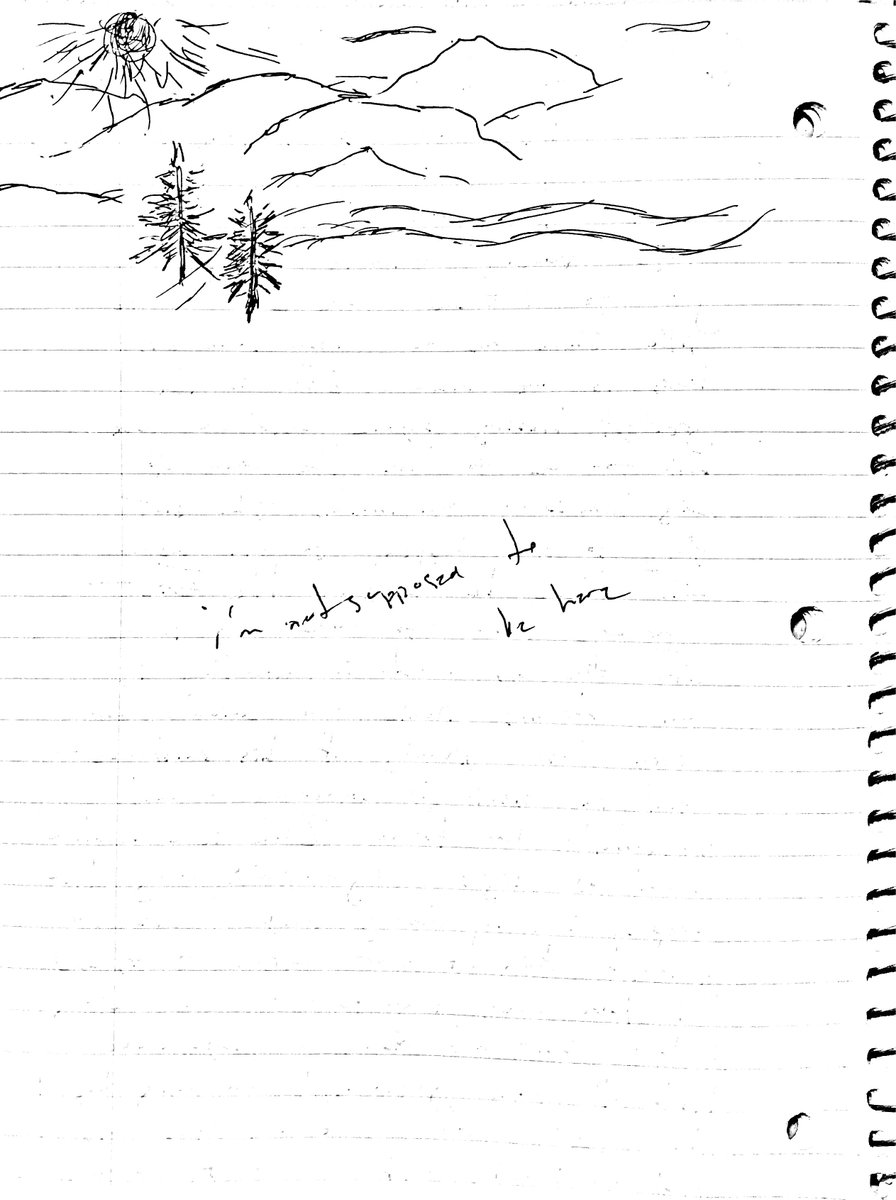therealsolpais's tweet photo. The moment i knew without a shadow of a doubt Sol Pais only traveled to Colorado to commit suicide in the mountains. Combined with her other journal entries and considering where she was found. Why couldn't the FBI/media do the same? #solpais https://t.co/EIH3qNXQdN
