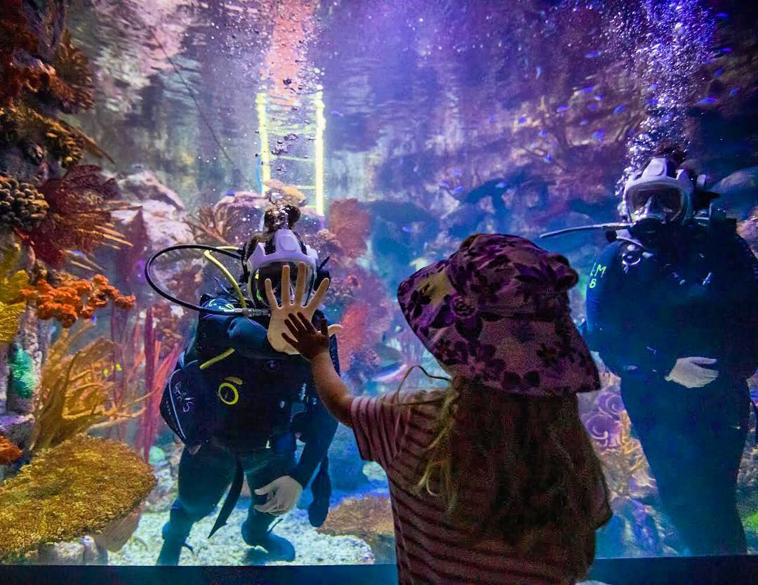 In our latest photo of the week, researchers Samantha Clements & Nicole Pedersen share a moment with a young visitor at @Birch_Aquarium's @100islchallenge exhibit.🖐️ The experimental reef allows Scripps scientists to develop coral research techniques. scripps.ucsd.edu/news/photo-wee…