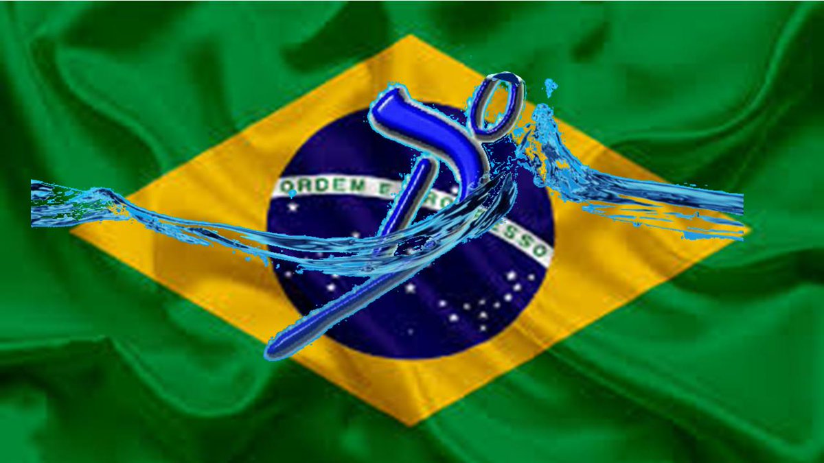 Dani Natação (@daninatacao) on Twitter photo 