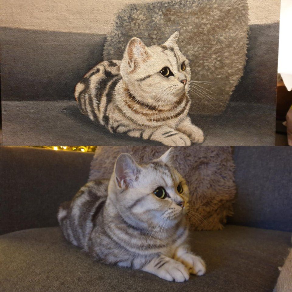 CatsOnCatnip's tweet image. &quot;My Girlfriend&apos;s 85-year-old client asked if he could paint our cat. I think he did a wonderful job!&quot; -  u/Iamglenn