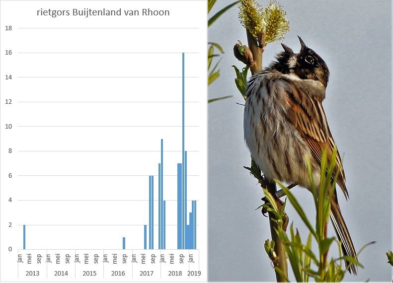 Poldernatuur tweet media