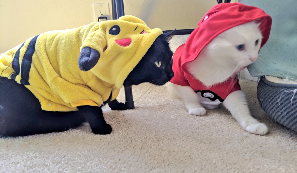 A black cat crouches low in profile wearing a loose-fitting Pikachu hoodie with flopping fabric ears. Next to him is the white cat in the Pokéball hoodie.