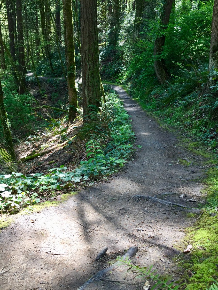 We're lucky here in Portland to have these trails IN the city. Go enjoy them! strava.com/activities/230… @WyeastWolfpack #TriplePeakChallenge #WyeastChallenge