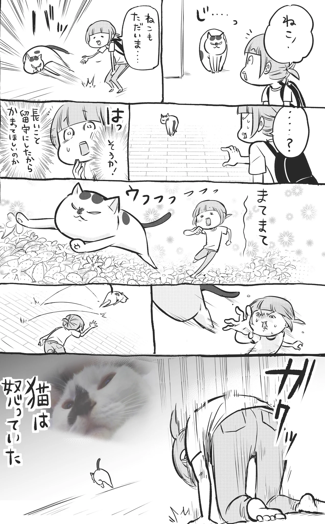 犬と猫どちらも飼っていると長旅の後の反応が真逆で面白いww