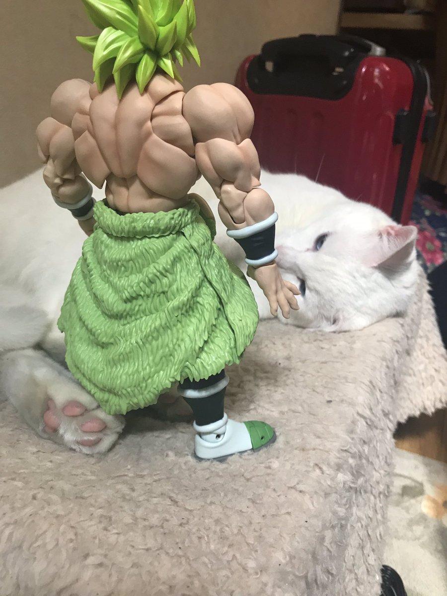 らいらい tweet media