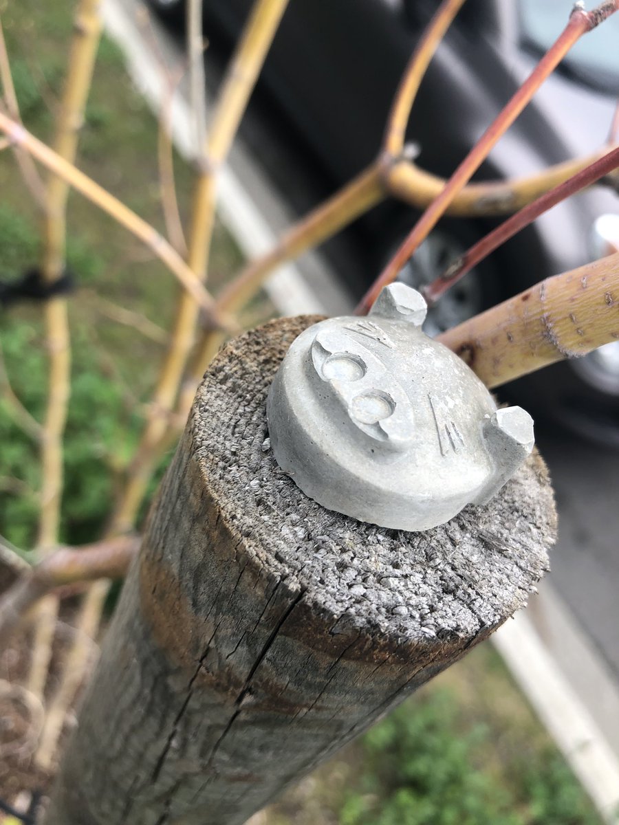 253monkey's tweet photo. This little piggie went to the market so many nights ago. Been waiting to be found through sun, snow, and rain that’s poured like a fawcett. #monkeyshines2019 https://t.co/VsAOUPG4YW