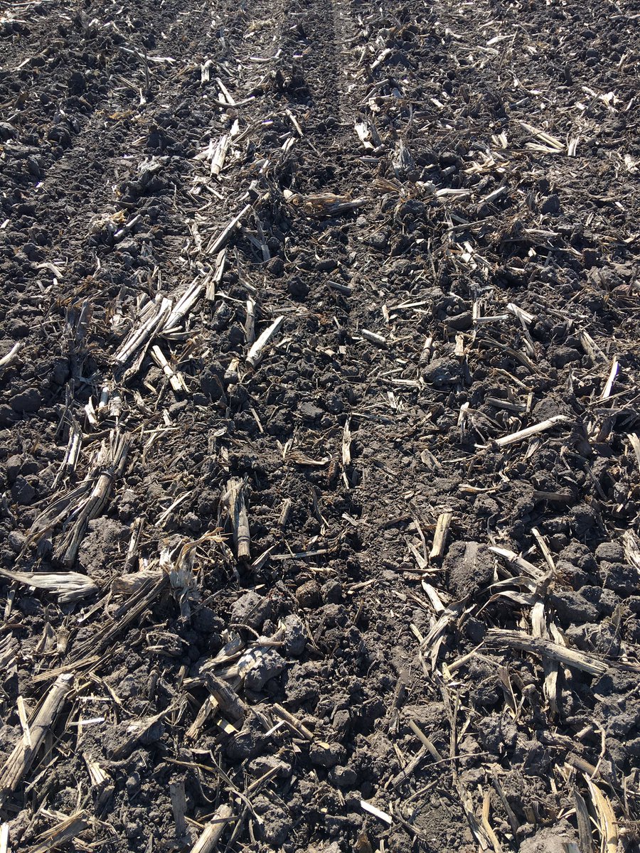 Sheriff_L_L's tweet photo. As Randy Dowdy says, βStop Hoping and Start Knowingβ. These Furrow Row Cruiser closing wheel inserts are $130/row. Small price to pay to βknowβ that you have 100% seed to soil contact. When I dig, I see no air pockets.
#Plant19 #FurrowRowCruisers #BecksPFR #CopperHeadAg https://t.co/qhQ8NEYtI9