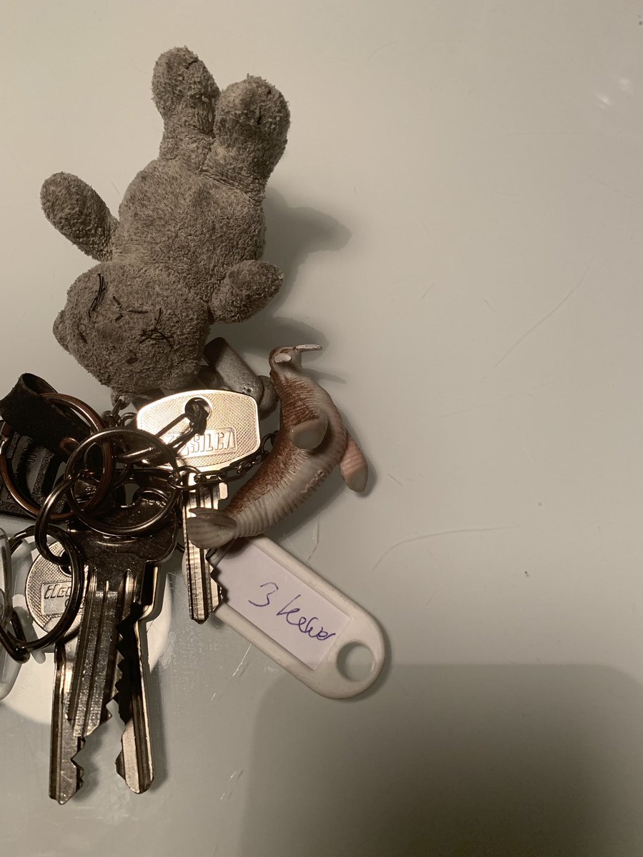 lamyae_Lamyaa's tweet photo. Wie is er een bos sleutels kwijt geraakt nabij de flats op de Kruiskamp in Amersfoort? Van de week op te halen bij de receptie van het stadhuis, Stadhuisplein 1.  @Gem_Amersfoort https://t.co/cd7i58U6JS