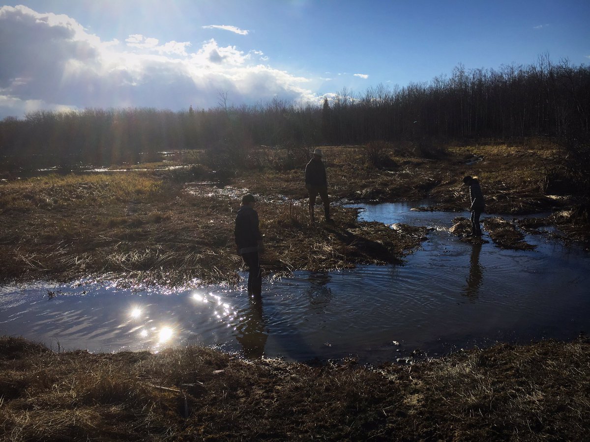 chuiko2's tweet image. Best birthday supper I could ask for. #family #ranchlife #bigbackyard #exploring #yearlingsbehaved #beautifulday #thankful