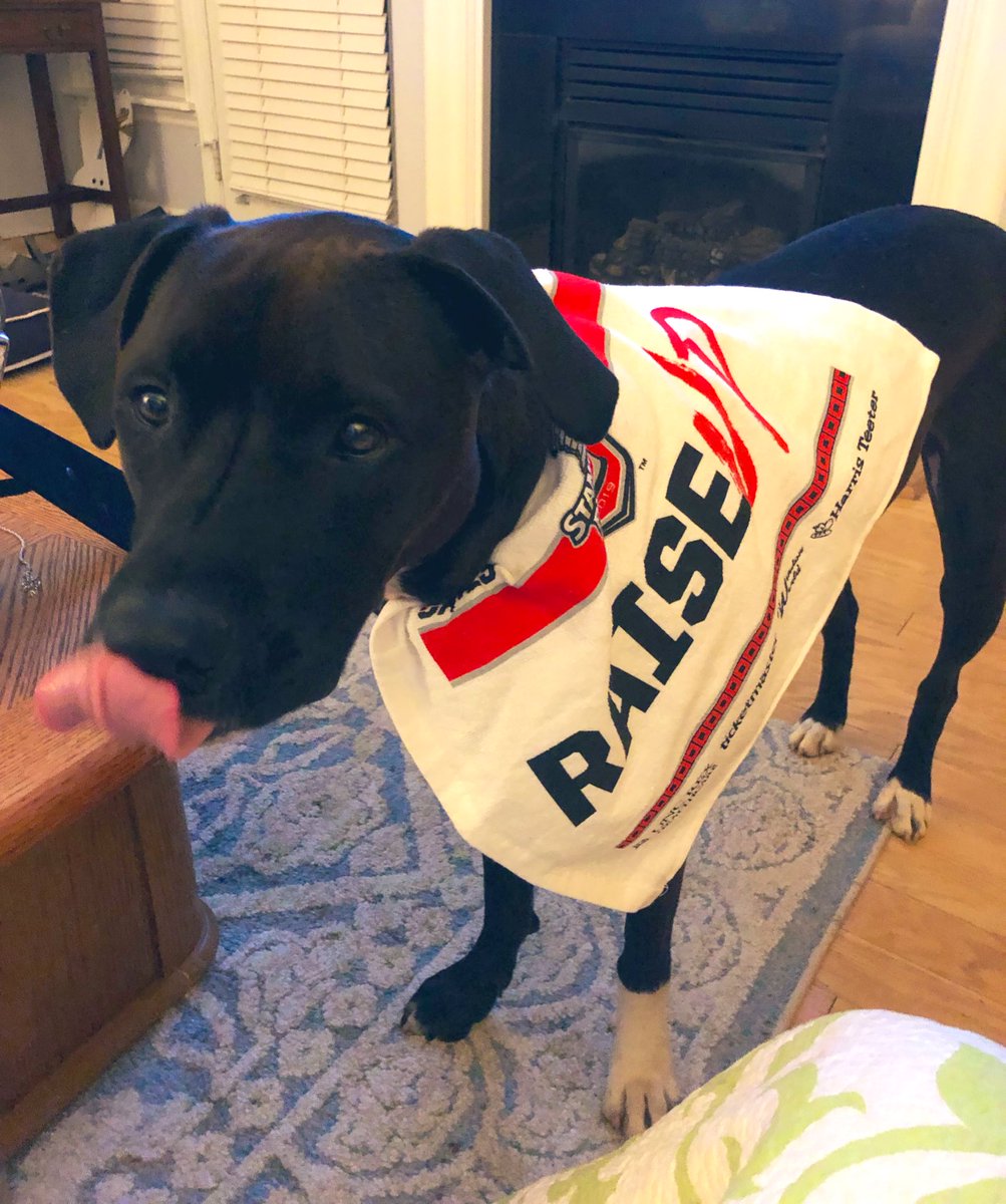 jkeagle27's tweet photo. @NHLCanes Watch out @Capitals I’m coming for you!!! https://t.co/JXMzBR6tPm