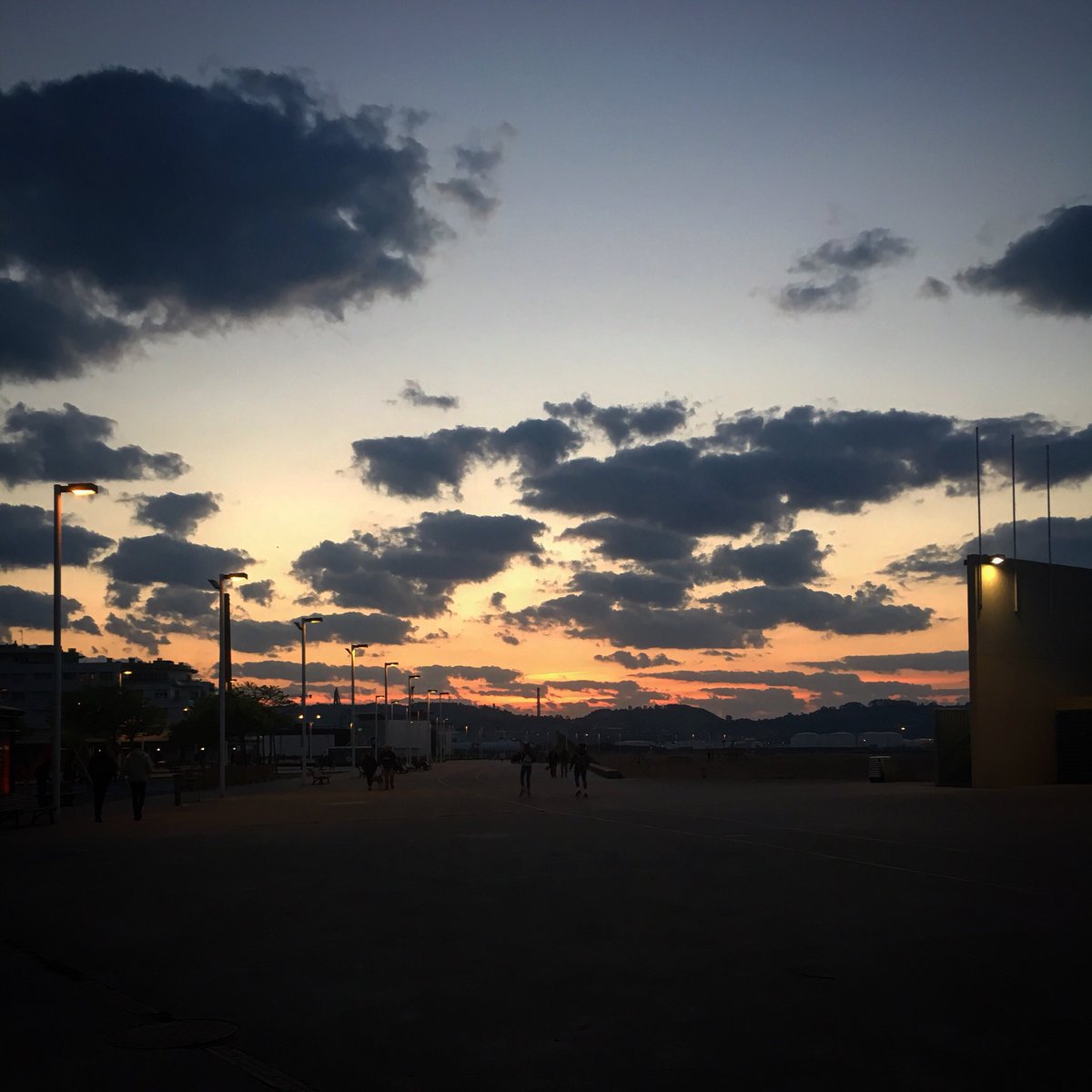 Innespral's tweet photo. 🦋 https://t.co/h8wpRBm4cP