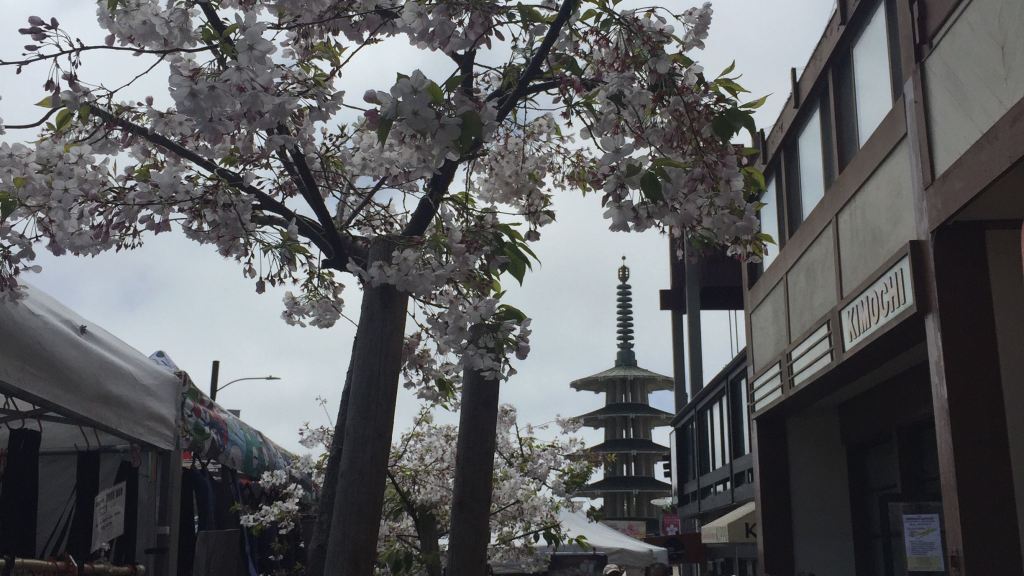 Finally Focusing on Work labangel.wordpress.com/2019/04/20/fin…