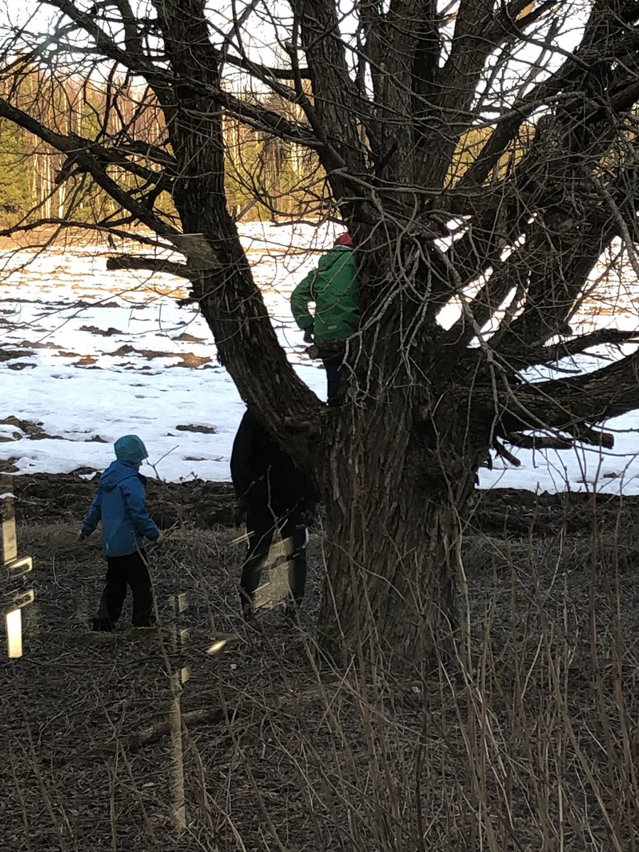 mikalappalainen's tweet image. Kyllä maalla on mukavaa! Saa pojat kiipeillä puissa ja ajaa mönkkärillä ukin kanssa! 😃👍
#basicthings #kiipeily #äijäjutut