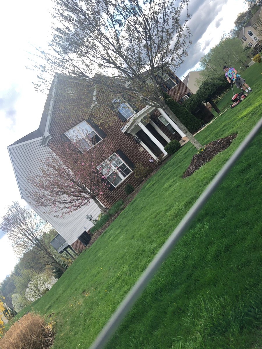 EmmaFleck7's tweet photo. whoever has zach weis he’s cutting his grass @SFAssassins19 @sfwikileaks2019 https://t.co/rcjsT5N7K0
