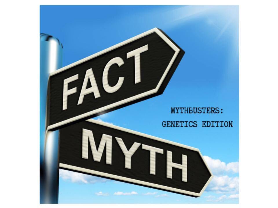 tamudnaday's tweet photo. Think you're a genetics mastermind?? Come see if you can bust the most common myths about genetics at TAMU DNA Day. This fast paced game puts your knowledge to the test and lets you win fun prizes! https://t.co/aNtO2DGYZE