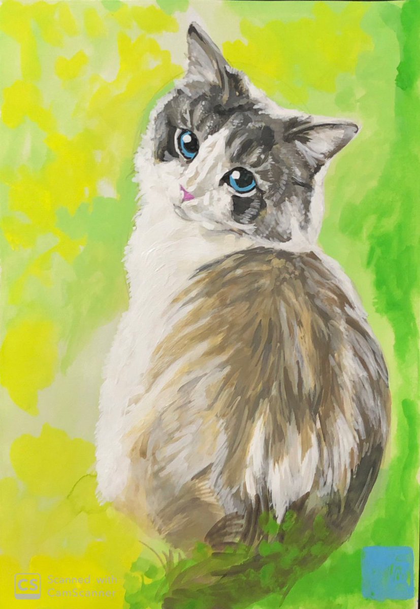 料理する猫のアクリル画 料理する猫のアクリル画 送料無料 「猫の絵no.84」 原画