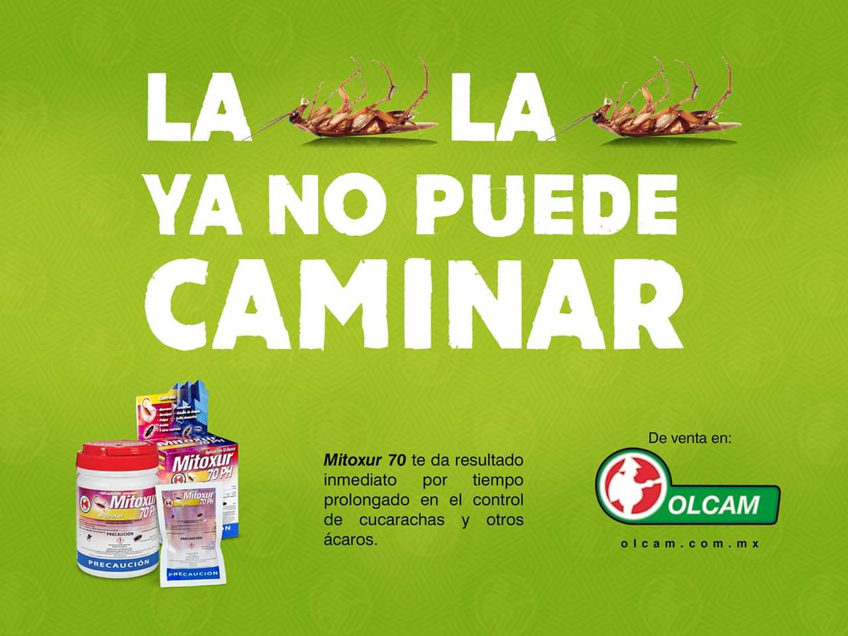 OlcamMX's tweet photo. Si ya no puede caminar, seguramente es por #Mitoxur70 con su acción inmediata tienes control de #cucarachas y demás plagas caseras de la manera más segura.
Ven a #QuimicaAgricolaOlcam
#Olcam #Acapulco #FelizSábado https://t.co/oQvTuv8k0k