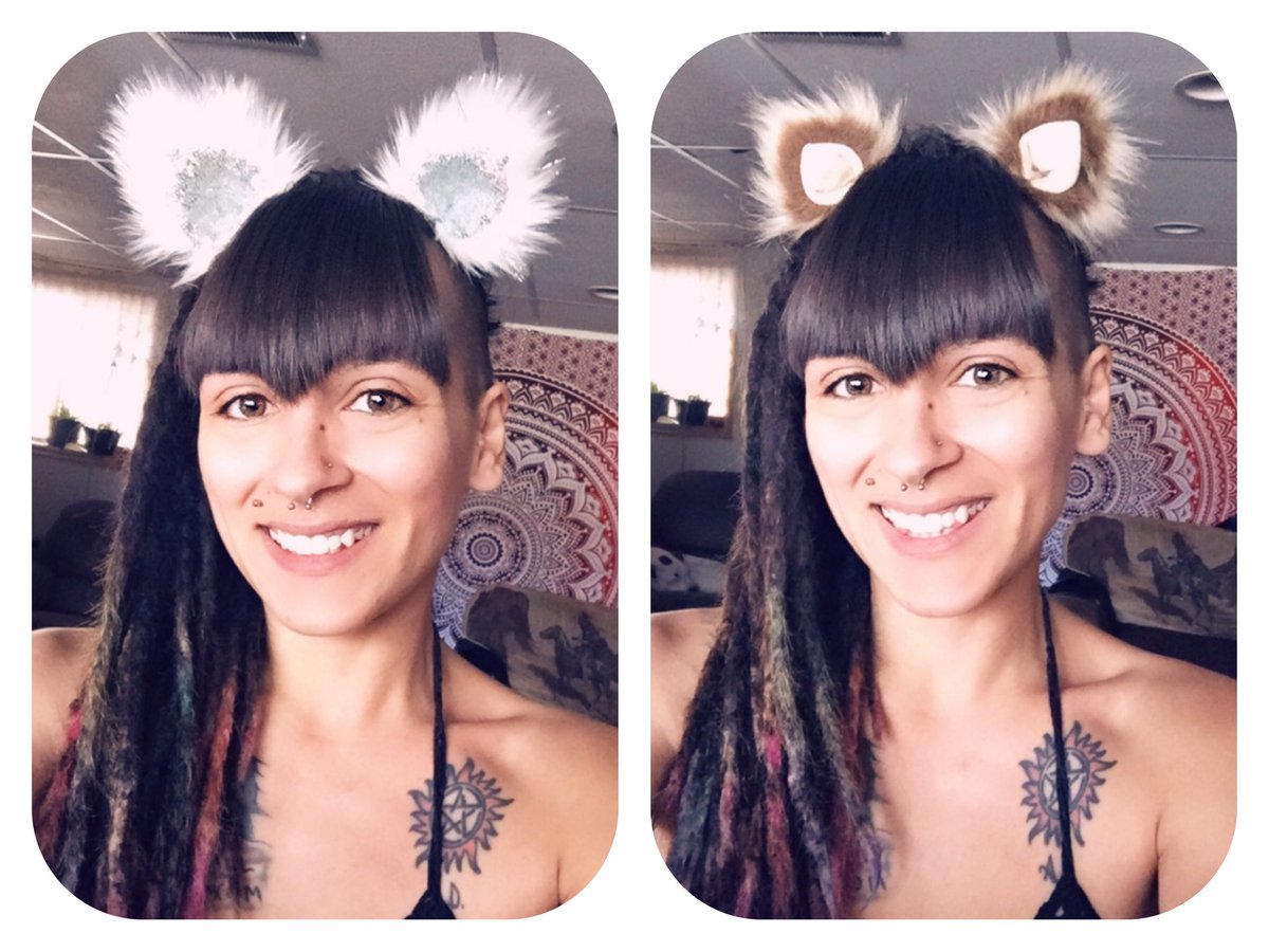 TcepetahKitty's tweet image. Ok but for real I’m in love with every set I get from @kritterklips 😻🥰💕
Featuring the ‘White Opal’ and ‘Blonde Magic mini’ ears. •
‘Flowkitty15’ saves you money on your own ears! 😉😻
•
#kritterklips #cliponears #kittyears #kittenears #findyourinnerkritter