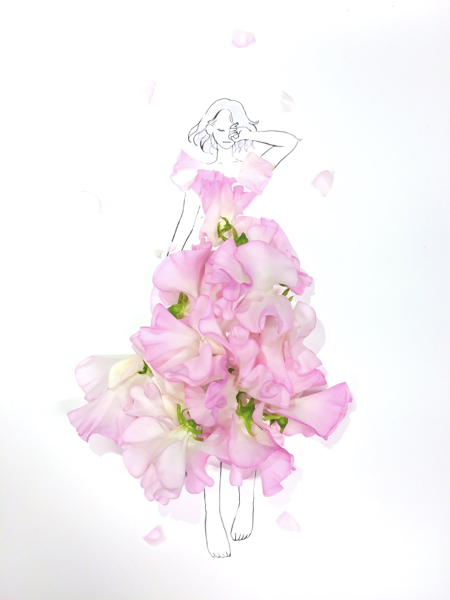 توییتر はな言葉 葉菜桜花子 新刊発売 در توییتر きょう4月21日は ローマの創建記念日 グラウネーション デー オーベルジュの日 川根茶の日 民放の日 誕生花はスイートピー 花言葉 門出 やさしい思い出 ほのかな喜び T Co Cwjwolwhbm