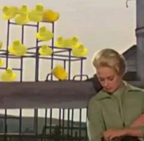 MandiChiu's tweet image. 😂 #Easter