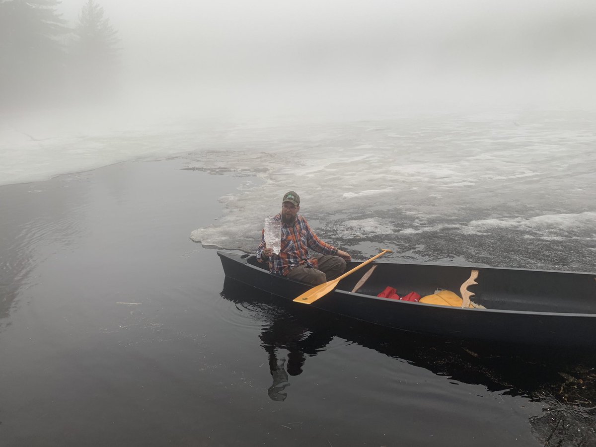 Joann Bisson tweet media